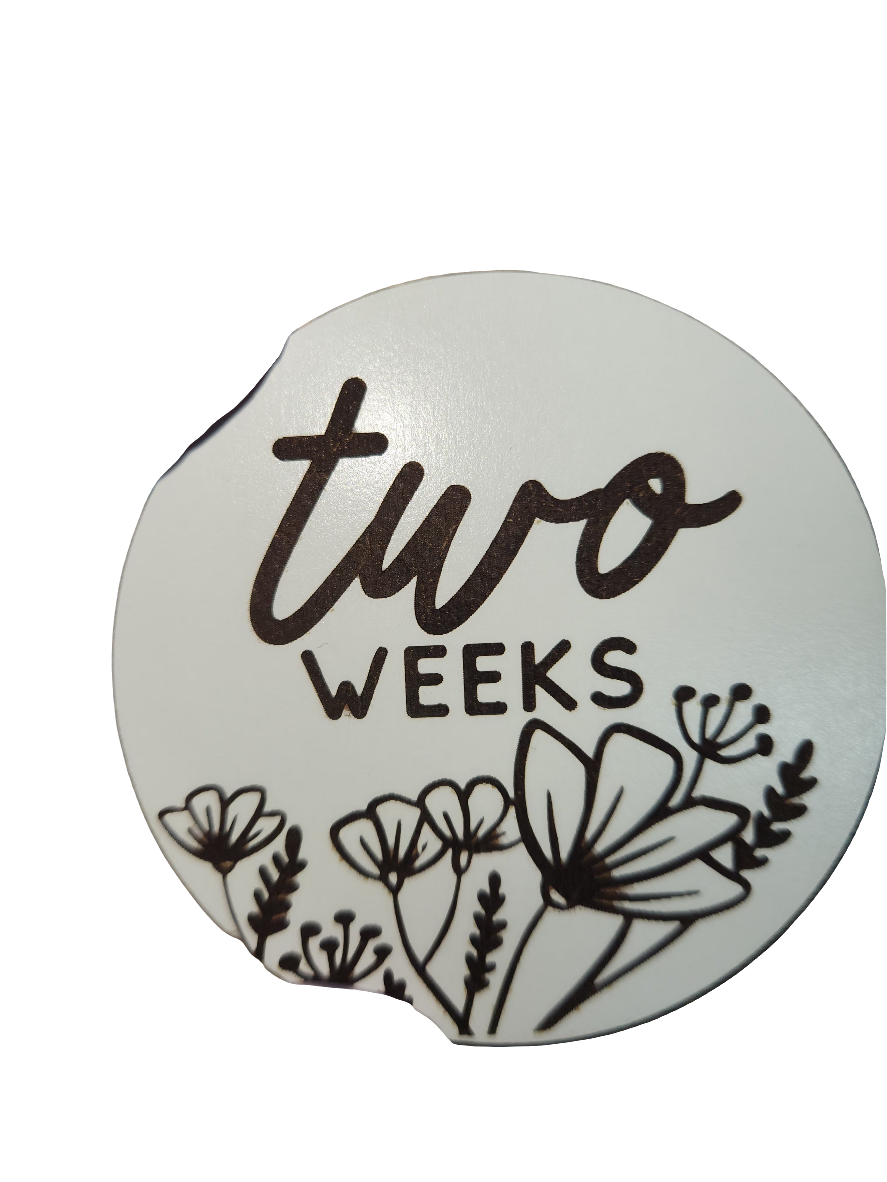 Baby Milestone Disks