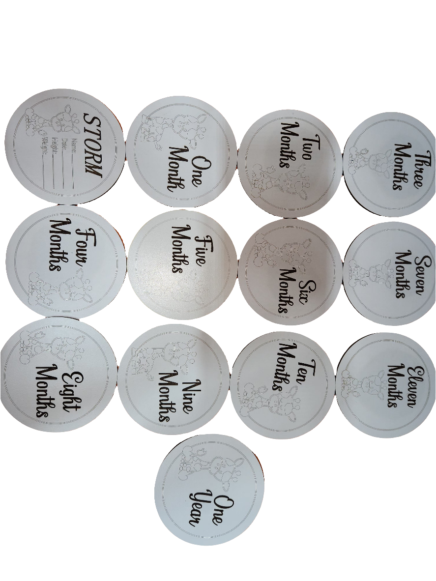 Baby Milestone Disks