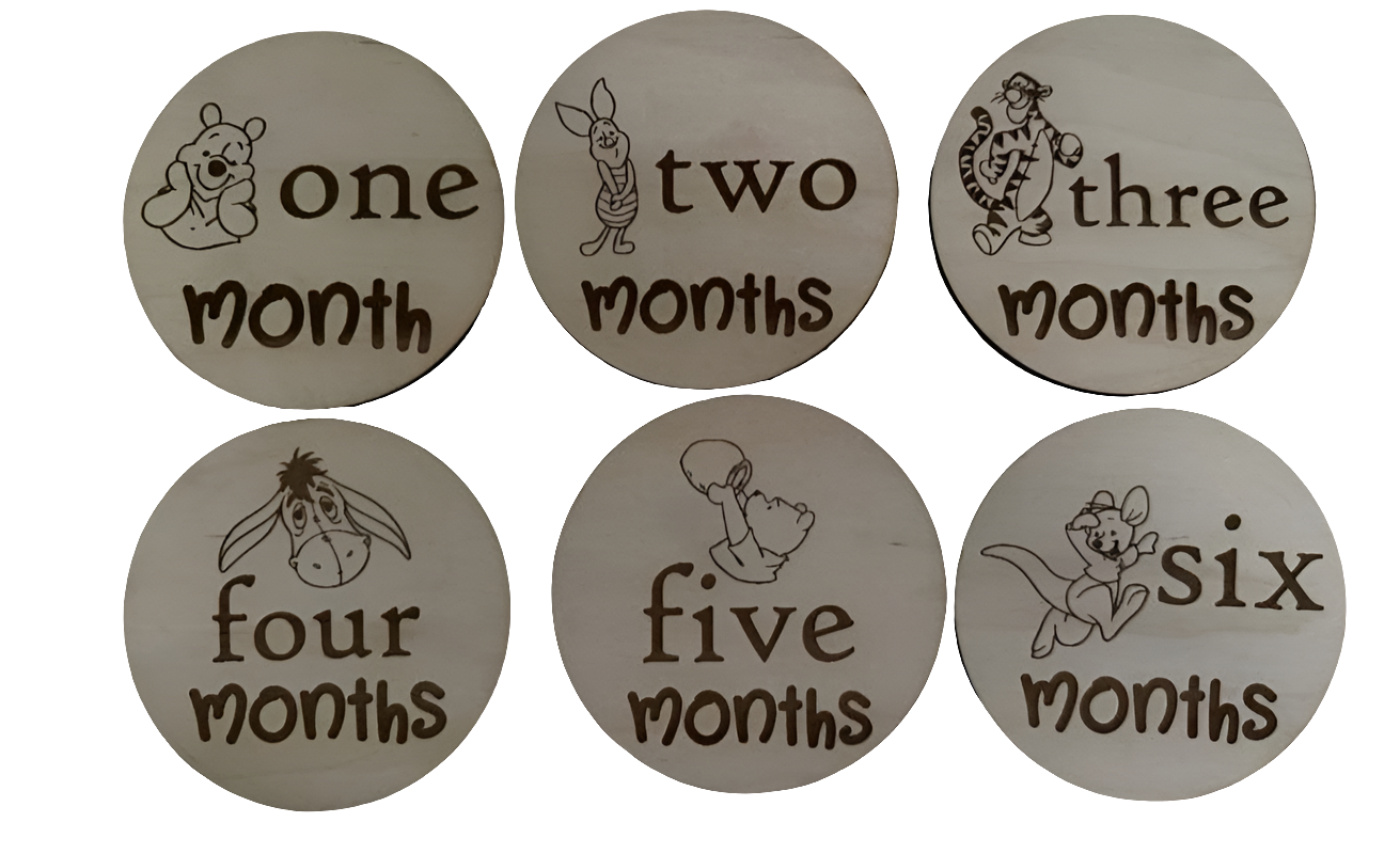 Baby Milestone Disks