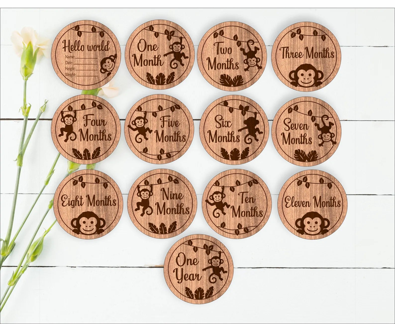Baby Milestone Disks