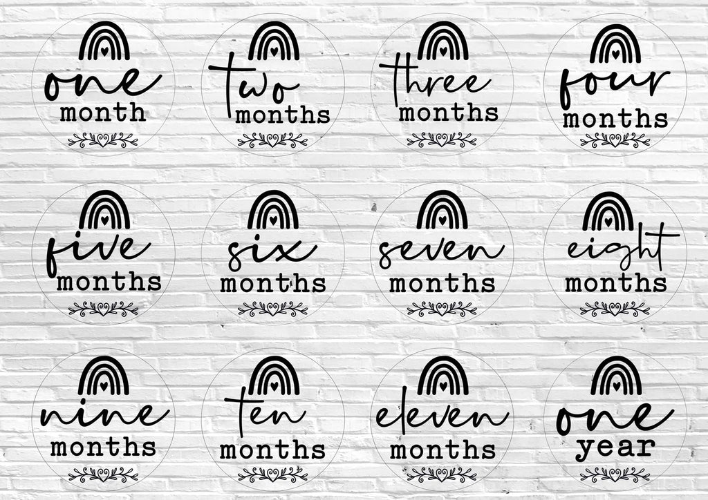 Baby Milestone Disks