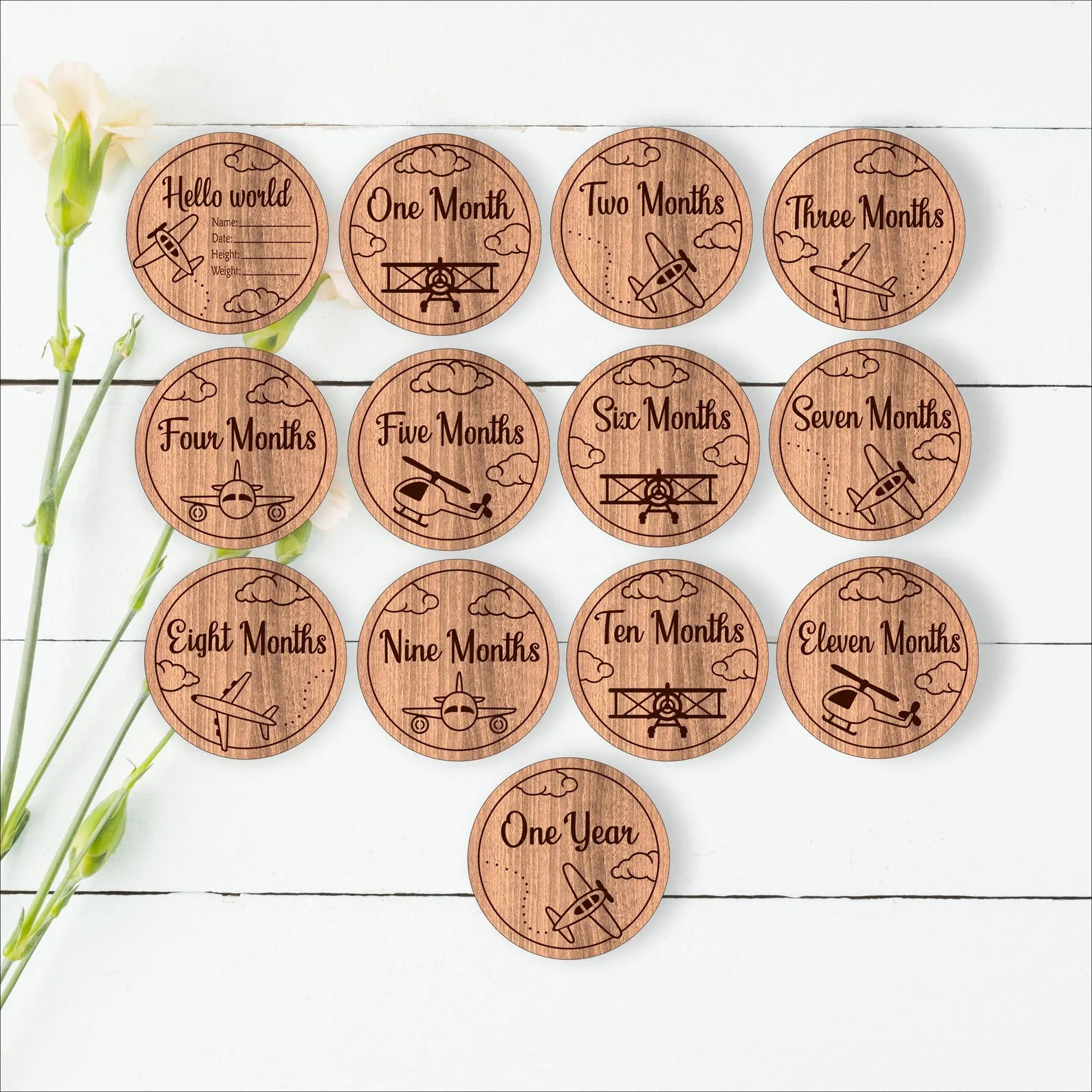 Baby Milestone Disks