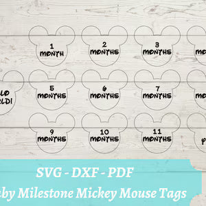 Baby Milestone Disks