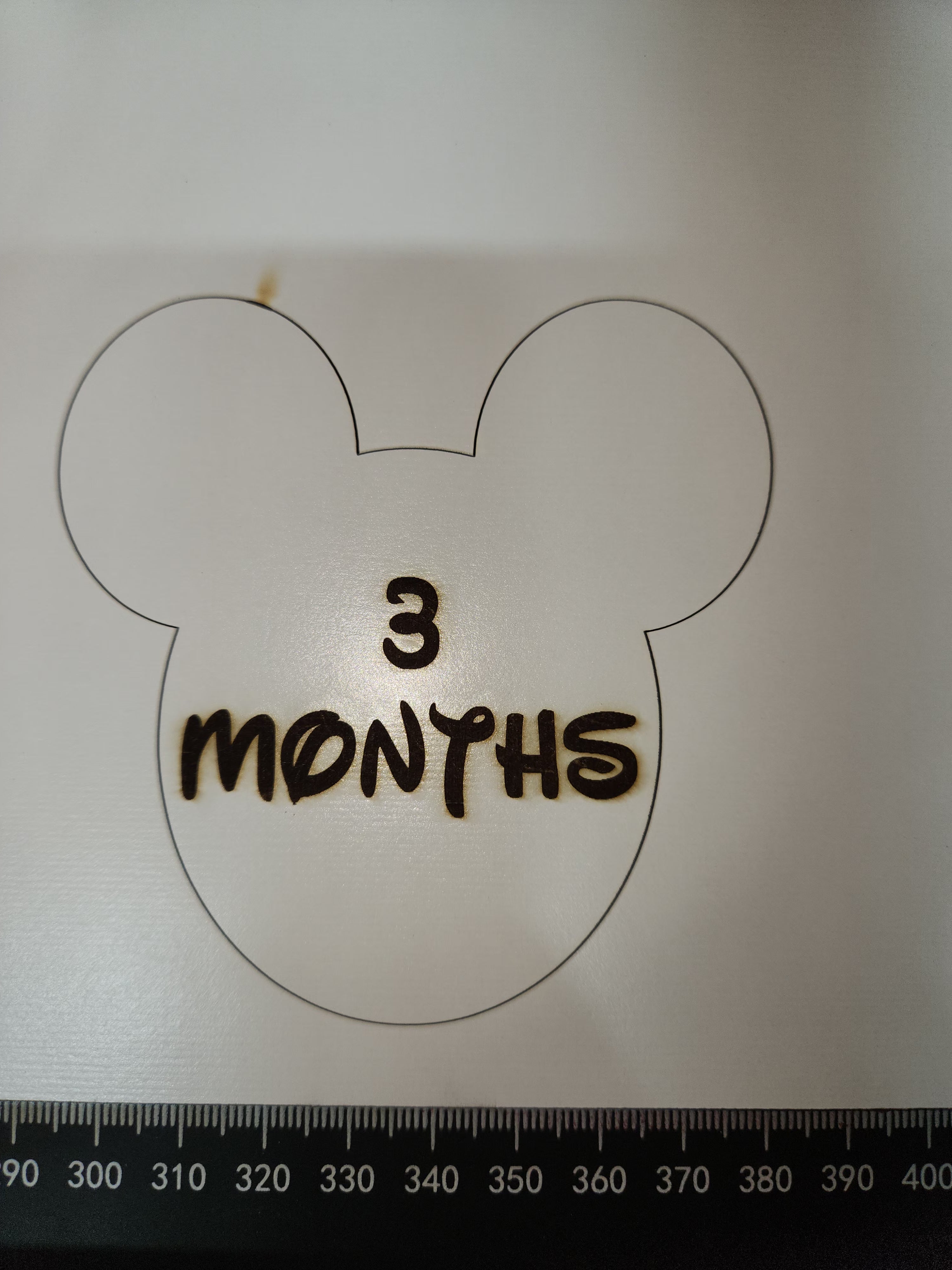 Baby Milestone Disks