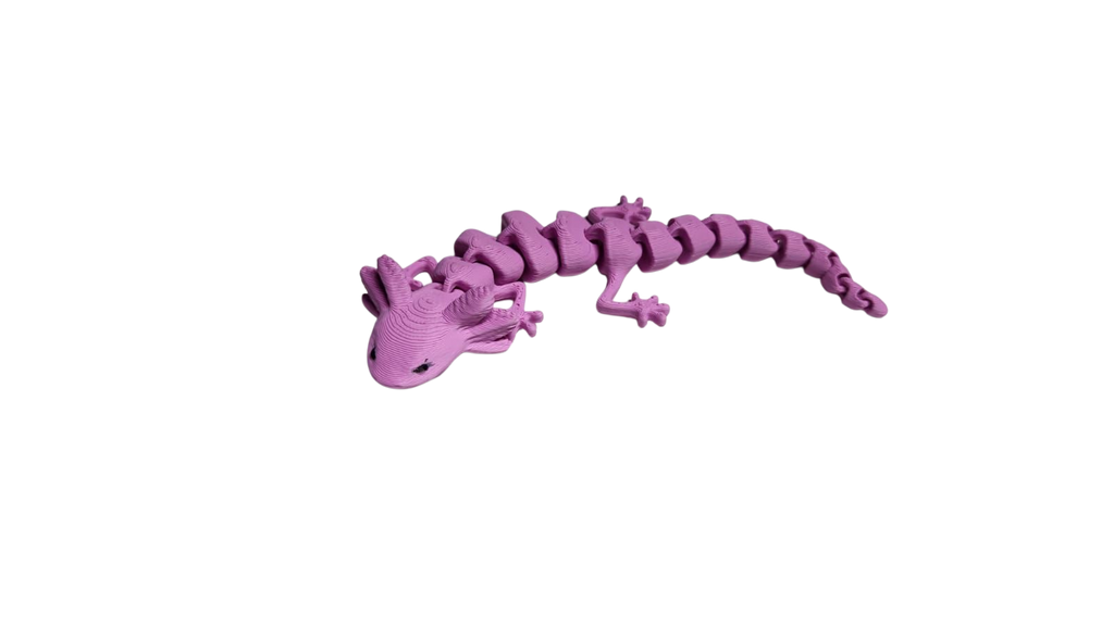 Axolotl